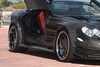 ASMA Perfectus SLR