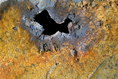 Modeltypische aandoeningen