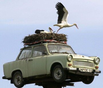 Trabant als ooievaarsnest in Neuruppin | Foto: ANP