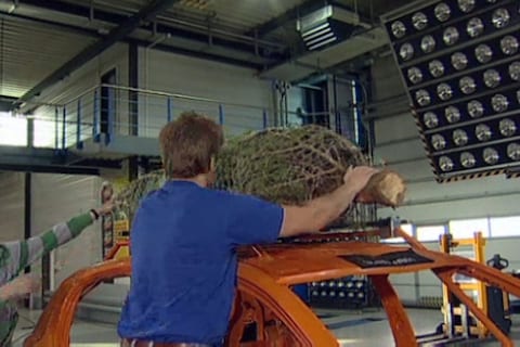 Pas op met die kerstboom! 