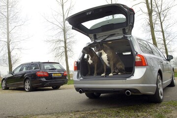 Kia Sportage-Skoda Yeti-Nissan Qashqai