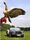 Sbarro Rolls-Royce Camargue