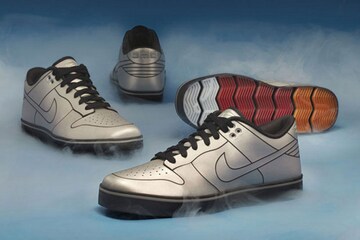Nike Dunk 6.0 DeLorean