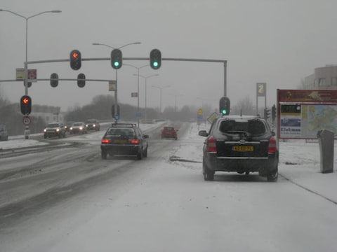 En, willen ze nog een beetje bijten?