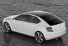 Skoda VisionD