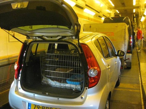 We zijn stierlijk verwend