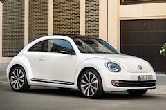 Beetle