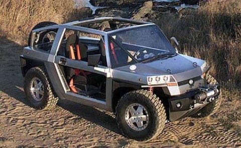 Ironman alleen via Internet!