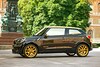 Mini Paceman Cavalli