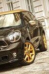 Mini Paceman Cavalli