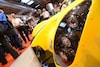 Radical RXC