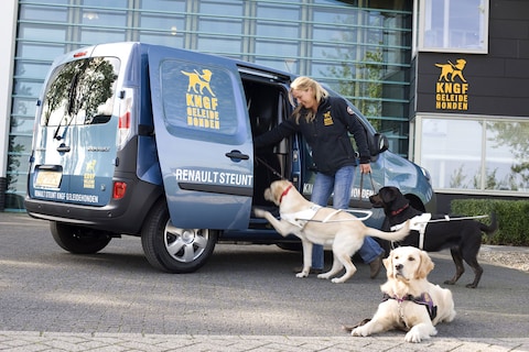 Renault leert geleidehonden omgaan met EV's
