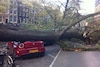 Stormschade 28 oktober 2013