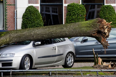 Storm: 10 miljoen euro schade aan auto's