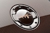 Bugatti Veyron Rembrandt Bugatti Grand Sport Vites