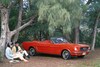 50 jaar Ford Mustang: het dak op