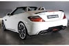 Mercedes SLK-klasse Black Bison Wald International