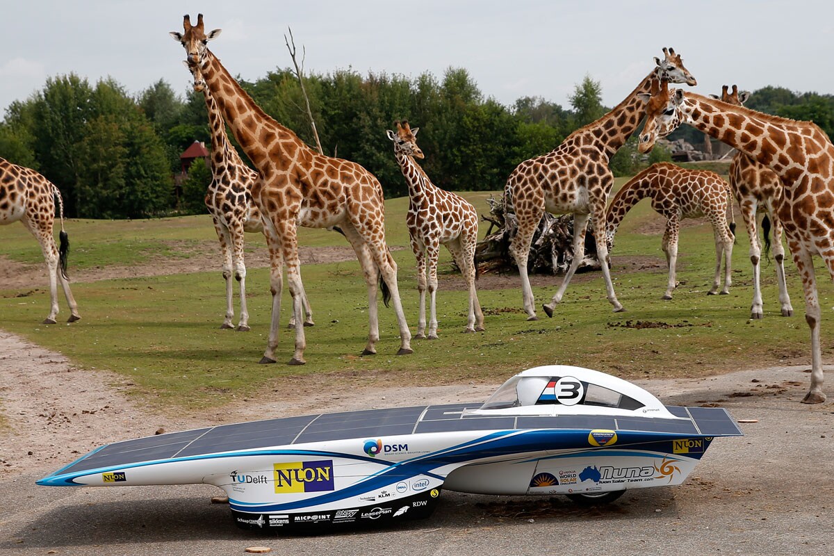 Nuna zonneauto op Safari in Beekse Bergen