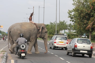 Verkeer New Delhi India (foto ANP)