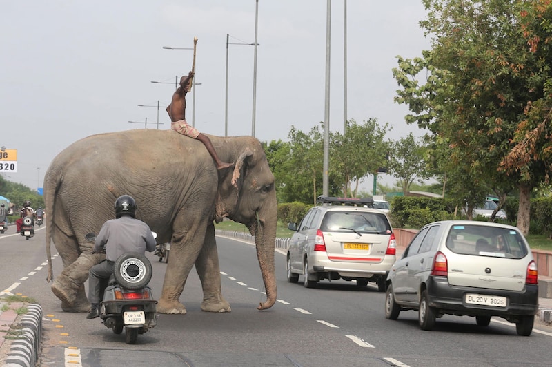 Verkeer New Delhi India (foto ANP)