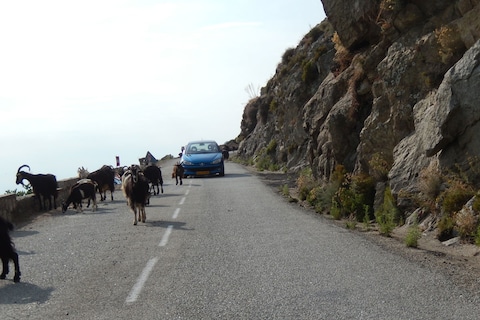 Gevoelloze sukkelaars