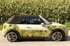 Mini Cabrio