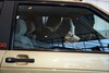 Seat Ibiza koning Felipe