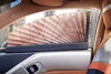 Rinspeed Budii