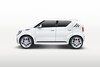 Suzuki concepts
