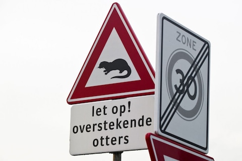Otters krijgen oversteekplaatsen
