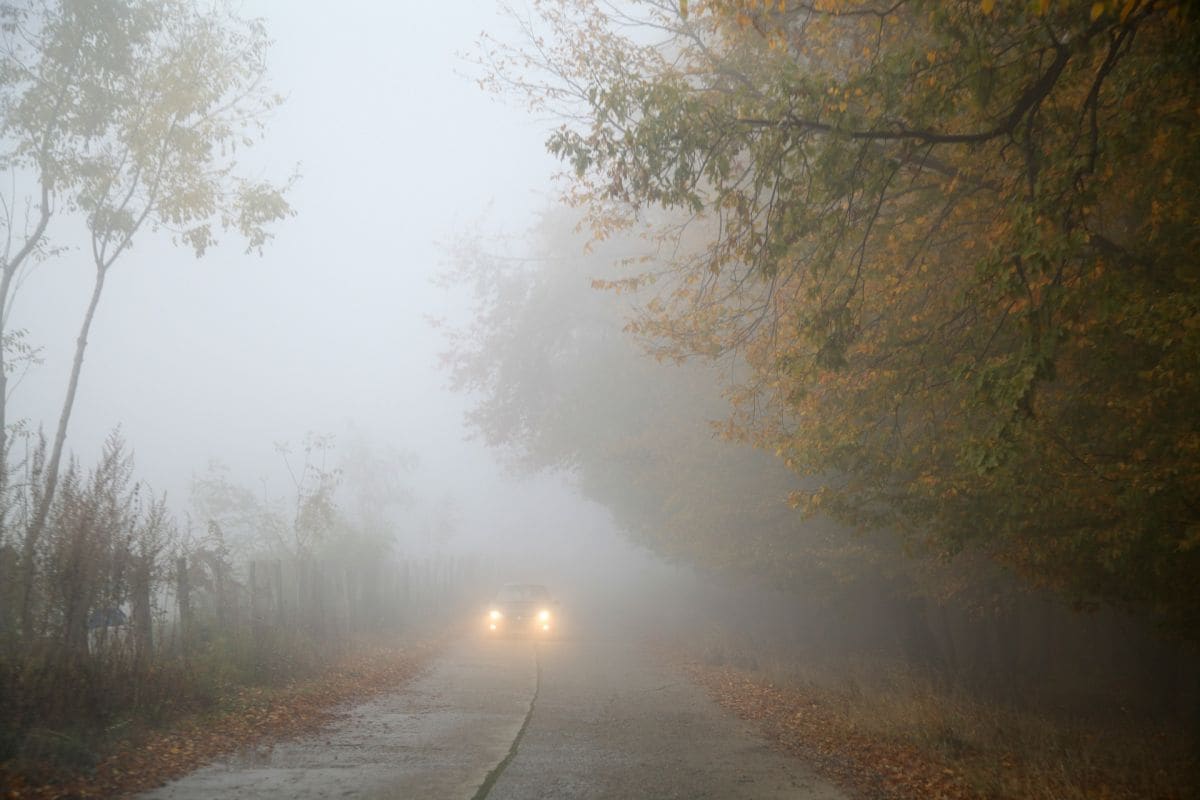 Mist