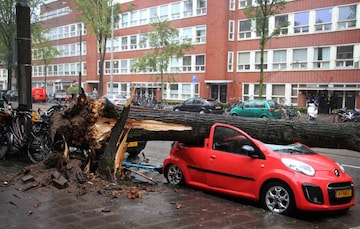 Storm schade boom omgewaaid