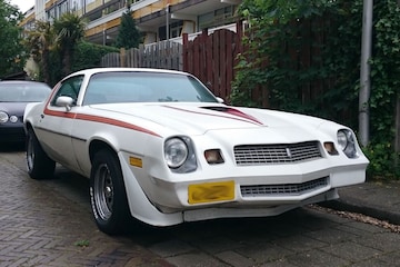 Chevrolet Camaro In het Wild