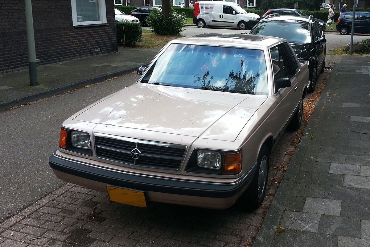 Dodge Aries In het Wild