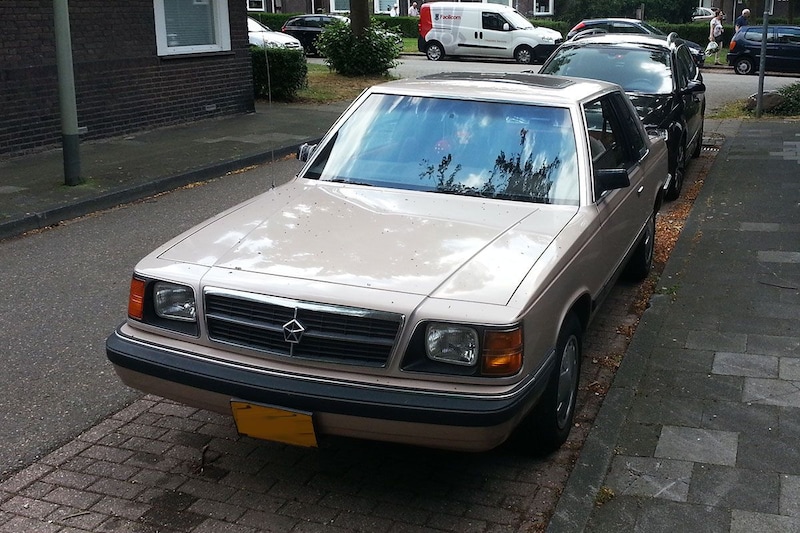 Dodge Aries In het Wild