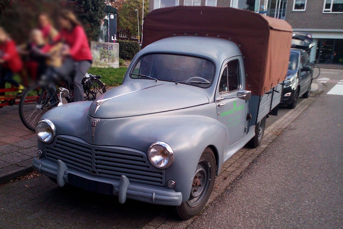 Peugeot 203 In het Wild