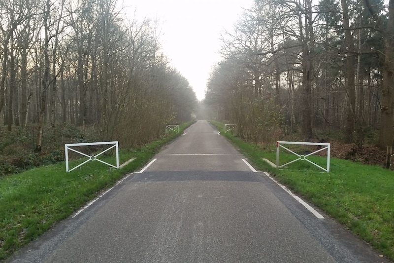 Hekken (blog Bas van Putten)