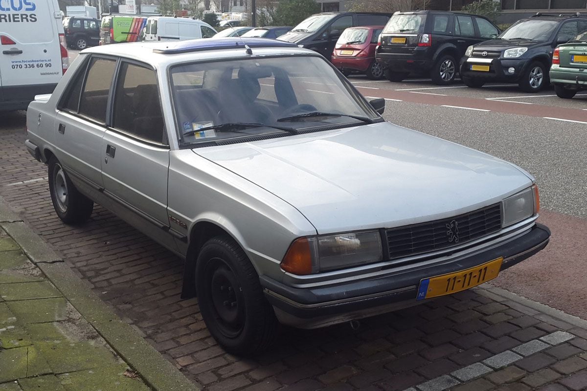 In het wild Peugeot 305