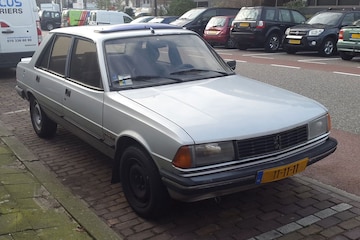 In het wild Peugeot 305