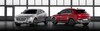 Borgward BX 5 en BX 6 TS