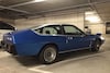 Lotus Eclat In het Wild