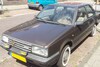 Nissan Sunny In het Wild