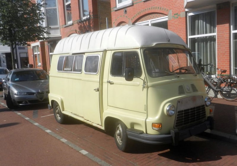 Renault Estafette In het Wild