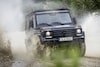 Mercedes-Benz G350d professional