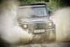 Mercedes-Benz G350d professional