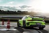 Porsche 911 Turbo en Turbo S Techart GTstreet R