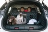 Nissan X-Trail 4Dogs Concept