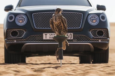 Niche gevuld: Bentley Bentayga voor valkeniers