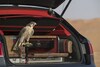 Bentley Bentayga Falconry