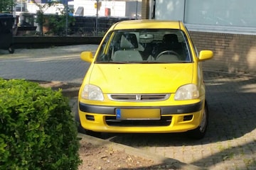 In het wild Honda Logo